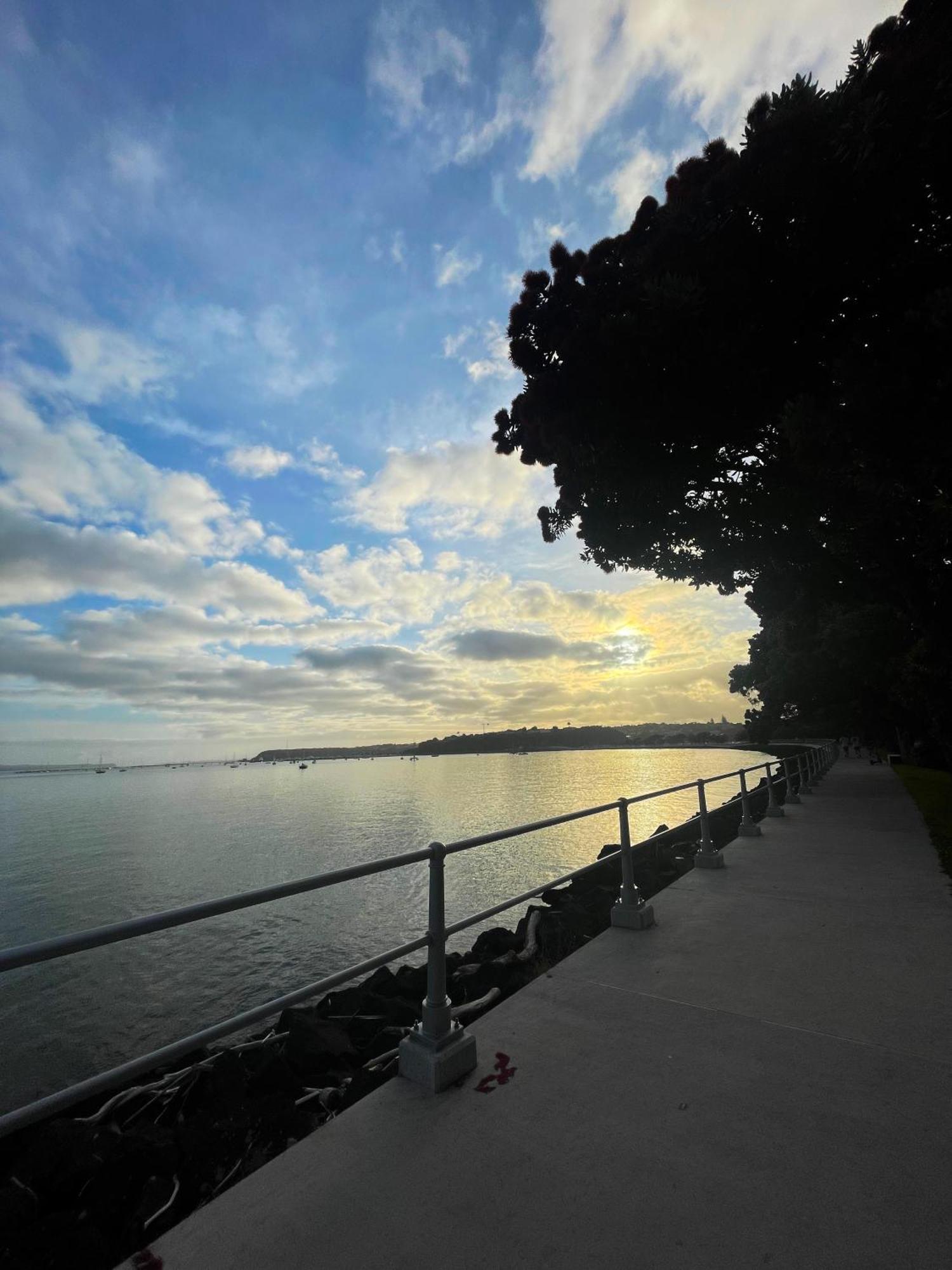 Luxury Apartment - Parking - Hot Tub - Stunning Views Auckland Exterior photo